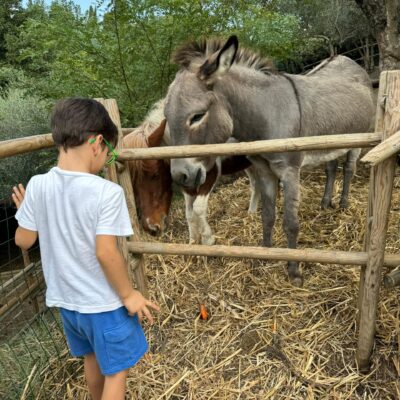 45e4d978-7b0b-4972-97b0-9390a611a78b