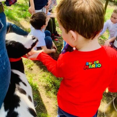 570D253C-B82C-4315-9151-656B9E8367D9