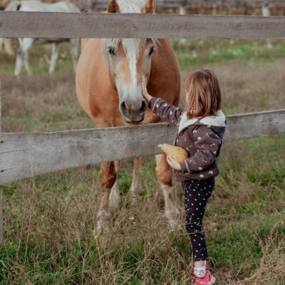pexels-vladimirsrajber-13911444